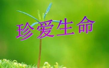 生命和教育心得体会精选5篇