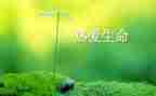 生命册心得体会优质8篇