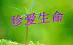 对生命的感悟600字作文6篇