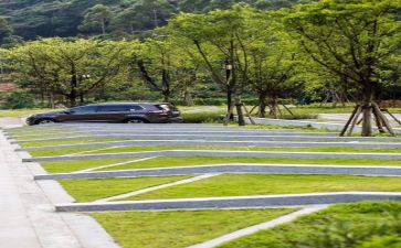 生态办工作计划7篇
