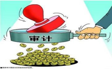 工作总结专项审计8篇
