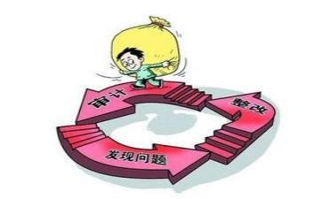 审计局年度审计工作总结5篇