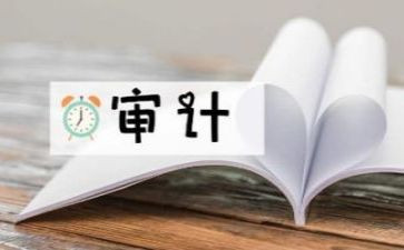 医院内部审计工作计划5篇
