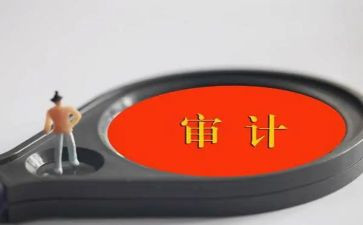 审计工作工作总结8篇