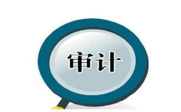 审计日工作总结个人通用7篇