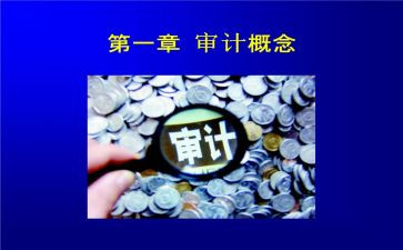 审计个人总结年度总结6篇