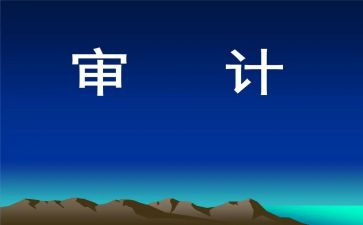 审计处工作总结6篇