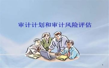 审计日工作总结报告模板6篇