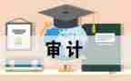审计日工作总结模板5篇