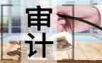 审计日工作总结个人最新8篇