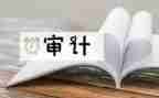 医院内部审计工作计划5篇