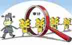 审计局工作总结报告5篇