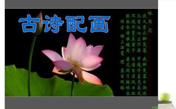 小班幼儿诗教案推荐6篇