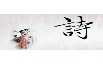 诗词的读后感6篇