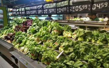 市场调查报告参考6篇