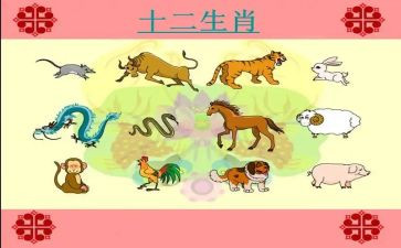 十二生肖教案大班语言教案7篇