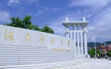 师范生调研报告5篇