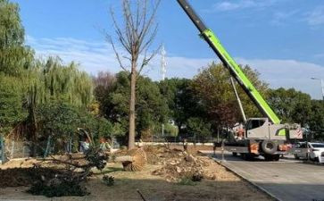 施工企业年终总结7篇