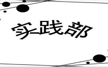 大学实践部工作计划6篇