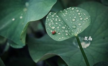 十四运的演讲稿5篇