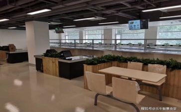 食堂工作总结个人优质6篇