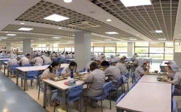 2024年食堂总结报告7篇