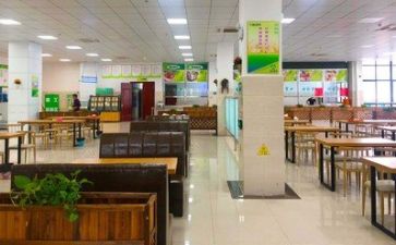 2024年食堂述职报告优质8篇
