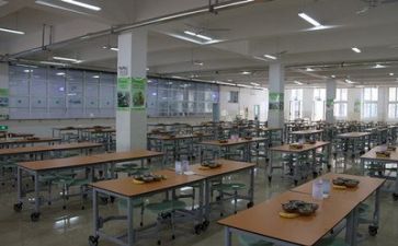 2023年食堂工作总结和计划7篇