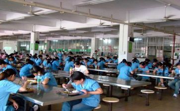 2024年食堂述职报告范文6篇