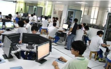 实训报告心得体会模板8篇