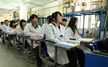 实训心得体会与总结7篇