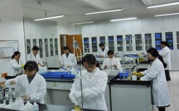 实验教学总结参考7篇