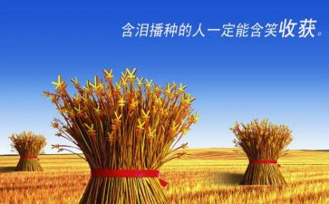 培训收获与心得体会5篇