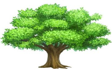 树榜样学榜样心得体会精选7篇