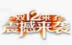 双12活动策划方案主题5篇