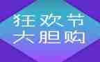 双12活动方案策划模板5篇