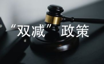 双减心得体会800字7篇