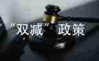 双减心得体会800字7篇