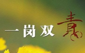2024年一岗双责个人总结8篇