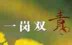 2024年一岗双责个人总结8篇