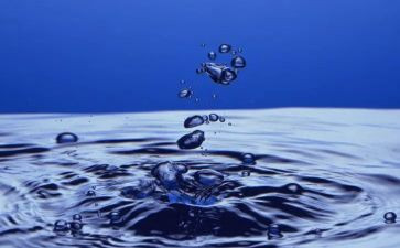 水心得体会1500字推荐7篇