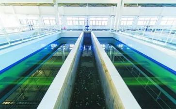 2023污水厂个人工作总结8篇