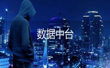 数据岗工作总结5篇