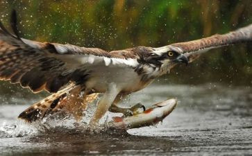 成长瞬间作文5篇