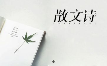 借物抒情作文8篇