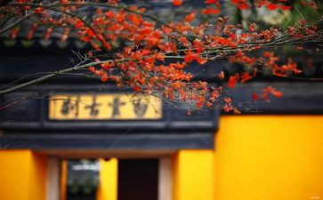 2023年寺管会工作总结8篇