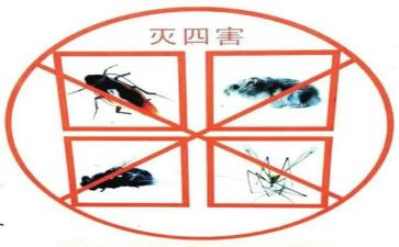 防四害工作计划8篇
