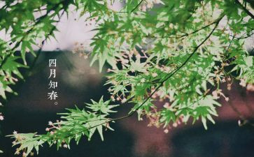 四月少先队工作总结7篇