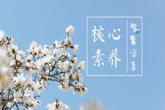 教师创新素养心得体会6篇