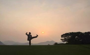 太极展活动方案策划7篇